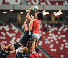 2026世界杯赛事看点-瑞典友谊赛在即，阵容磨合成焦点